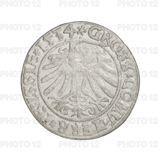 Prussian grosz, Sigismund I the Old (King of Poland; 1506–1548). Obverse: Crowned male bust in profile turned to the right; in the rim between pearly borders the inscription: .SIGIS.I.REX.PO.DO.TOCI.PRVSSIE. Reverse: The Eagle of Royal Prussia; in the rim between pearly borders the inscription: .GROSS.COMV.TERR.PRVSSIE. 1534. Torun, Poland. Coin; diameter 22.8–23.4 mm; weight 1.84 g. Categories: eagles, Polish coins, Jagiellonians (dynasty), coats of arms, royal bust, iconography of Sigismund I.