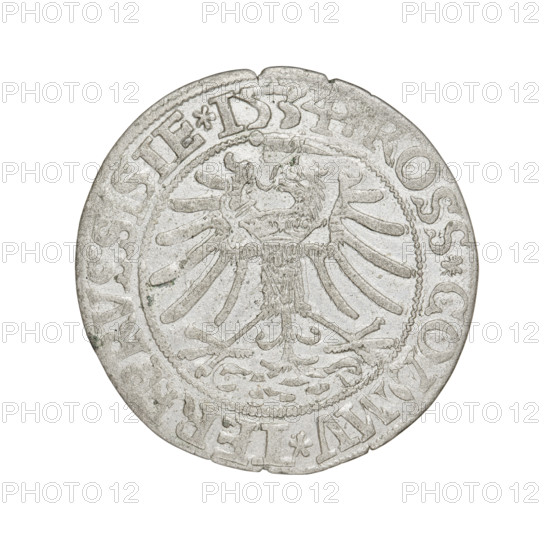 Prussian grosz, Sigismund I the Old (King of Poland; 1506–1548). Obverse: Crowned male bust in profile turned to the right; in the rim between pearly borders an inscription: .SI, IS.I.REX.PO.DO.TOCI.PRV. Reverse: The Eagle of Royal Prussia; in the rim between the pearl borders the inscription: ROSS.CO, MV.TER, .PRVSSISIE.1534. Date: 1534. Mint: Torun, Poland. Coin. Diameter 22.8–23.5 mm. Weight 1.9 g. Subjects: eagles, Jagiellonian dynasty, coats of arms, royal bust; iconography of Sigismund I the Old.