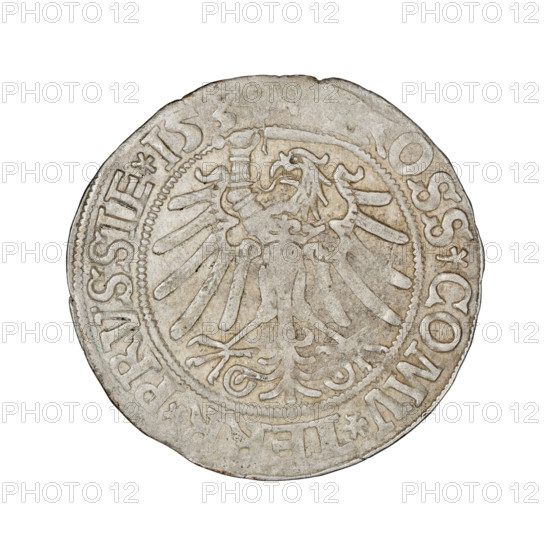 Prussian grosz, Sigismund I the Old (King of Poland; 1506–1548). Obverse: crowned male bust in profile turned to the right; in the rim between pearly borders an inscription: .SIGIS.I..PO.DO.TOCI. RVSSI. Reverse: the Eagle of Royal Prussia; in the rim between the pearl borders the inscription: ROSS.COMV.TE. R.PRVSSIE. Date: 1534. Mint: Torun, Poland. Coin. Diameter 22.8–23.0 mm. Weight 1.78 g. Subjects/attributes: eagles, coats of arms, male/royal bust, Jagiellonian dynasty, iconography of Sigismund I the Old.