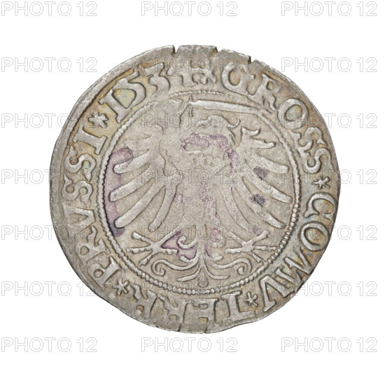 Prussian grosz, Sigismund I the Old (King of Poland; 1506–1548). Obverse: Crowned male bust in profile turned to the right; in the rim between the pearl borders an inscription: .SIGIS.I.REX.PO.DO.TOCI.PRVSSI. Reverse: The Eagle of Royal Prussia; in the rim between the pearl borders the inscription: .GROSS.COMV.TERR.PRVSSI. 1534. Torun, Poland. Coin; diameter 23.1–23.3 mm; weight 1.6 g.