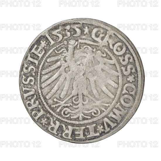 Prussian grosz, Sigismund I the Old (King of Poland; 1506–1548). Obverse: Crowned male bust in profile turned to the right; in the rim between the pearl borders an inscription: .SIGIS.I.REX.PO.DO.TOCI.PRVSSI. Reverse: The Eagle of Royal Prussia; in the rim between the pearl borders the inscription: .GROSS.COMV.TERR.PRVSSIE.1535. 1535, Torun, Poland. Coin; diameter 24.0 mm; weight 1.72 g. Subjects/icons: eagles, coats of arms, male/royal bust; Jagiellonians (dynasty); Sigismund I iconography.