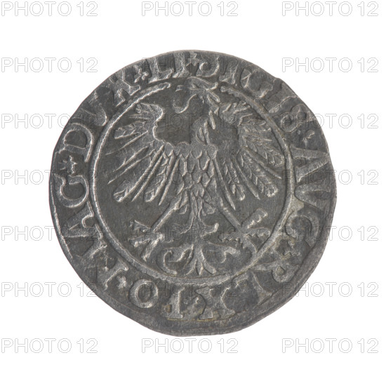 Lithuanian half-grosz, Sigismund II Augustus (King of Poland; 1544–1572). Obverse: Polish eagle; in the rim between pearly borders an inscription: .SIGIS.AVG.REX.PO.MAG.DVX.LI. Reverse: Lithuanian Pogon; below the year 1558; in the rim between pearly borders an inscription: .MONETA.MAGNI.DVCAT9.LITVA. 1558. Grand Duchy of Lithuania, Vilnius. Coin, Polish; diameter 19.0–19.3 mm; weight 1.13 g.