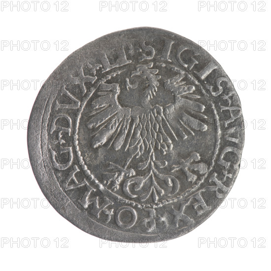 Lithuanian half-grosz, Sigismund II Augustus (King of Poland; 1544–1572). Obv.: Polish Eagle; in the rim between pearly borders an inscription: .SIGIS.AVG.REX.PO.MAG.DVX.LI. Rev.: Lithuanian Pogon; below the year 1561; in the rim between pearly borders an inscription: .MONETA.MAGNI.DVCAT9.LITV. 1561. Grand Duchy of Lithuania, Vilnius, Poland. Coin; diameter 20.6–21.0 mm; weight 1.19 g. Jagiellons (dynasty); Polish coins; eagles; Eagle (emblem); Pogon (emblem).