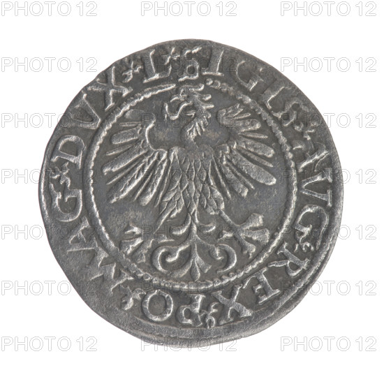 Lithuanian half-grosz, Sigismund II Augustus (King of Poland; 1544–1572). Obverse: Polish Eagle; in rim between pearl borders inscription: .SIGIS.AVG.REX.PO.MAG.DVX.L. Reverse: Lithuanian Pogon; below the year 1561, in rim between pearl borders inscription: .MONETA.MAGNI.DV. T9. LITVA. 1561. Grand Duchy of Lithuania, Vilnius. Coin (Poland), diameter ~20.4–20.5 mm, weight ~1.1 g; Jagiellon dynasty; eagles and Pogon emblems.