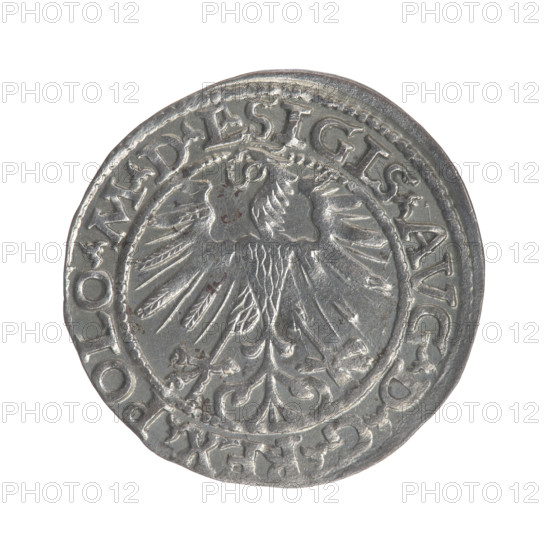 Lithuanian half-grosz, Sigismund II Augustus (King of Poland; 1544–1572). Obverse: Polish Eagle; rim inscription between pearl borders: .SIGIS.AVG.DGREX.POLO.MDL. Reverse: Lithuanian Pursuit (Pogon); below year 1563; rim inscription between pearl borders divided by the Topór coat of arms: .MONETA.MAGNI - DVCAT.LITVA. Date: 1563. Region: Grand Duchy of Lithuania (Vilnius), Poland. Material: coin. Diameter: ca. 19.4–20.0 mm. Weight: 1.24 g. Coats of arms: Jagiellons, Eagle, Pursuit (Lithuania).