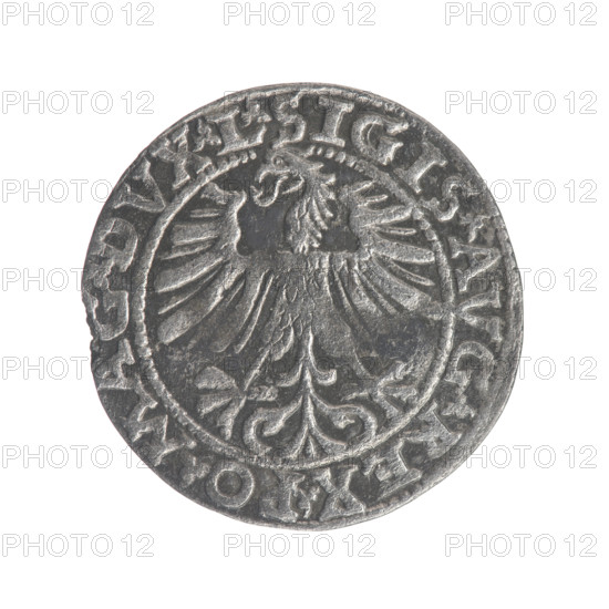 Lithuanian half-grosz, Sigismund II Augustus (King of Poland; 1544–1572). Obverse: Polish eagle; in the rim between pearl borders the inscription: .SIGIS.AVG.REX.PO.MAG.DVX.L. Reverse: Pogon (Lithuanian) with the year 1563 below; in the rim between the pearl borders an inscription divided by the Axe coat of arms: .MONETA.MAGNI - DVCAT.LITV. 1563. Grand Duchy of Lithuania (Vilnius). Coin (half-grosz), diameter 18.7–19.0 mm, weight 1.05 g. Emblems: Jagiellons dynasty, Polish eagle, Pogon.