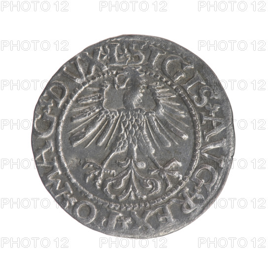 Lithuanian half-grosz, Sigismund II Augustus (King of Poland; 1544–1572). Obv.: Polish Eagle; in the rim between pearly borders inscription: .SIGIS.AVG.REX.PO.MAG.DVX.L. Rev.: Lithuanian Pogon; below the year 1561; in the rim between pearly borders inscription: .MONETA.MAGNI.DVCA.9.LITV.1561. Grand Duchy of Lithuania, Vilnius. Coin (Poland), diameter ~19.3–19.5 mm, weight 1.26 g.