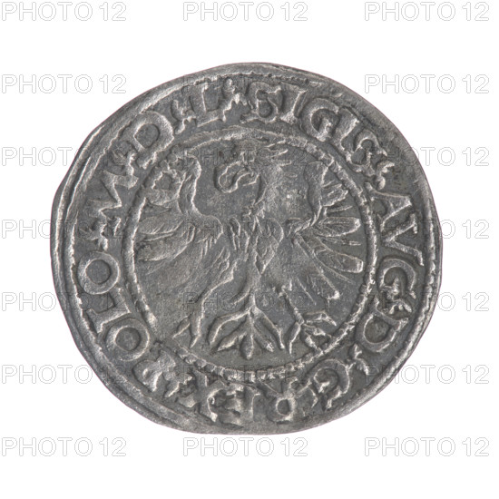 Lithuanian half-grosz, Sigismund II Augustus (King of Poland; 1544–1572). Obverse: Polish eagle, in the rim between pearl borders the inscription: .SIGIS.AVG.DGREX.POLO.MDL. Reverse: Lithuanian Pursuit, below year 15-66, in the rim between pearl borders an inscription divided by the Jastrzebiec coat of arms: .MONETA.MAGNI - DVCAT.LITV. 1566. Grand Duchy of Lithuania, Tykocin, Poland. Coin; diameter 19.5–20.5 mm; weight 1.12 g.
