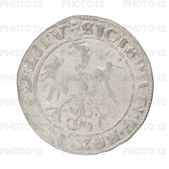 Lithuanian grosz, Sigismund I the Old (King of Poland; 1506–1548). Obverse: Crowned Polish eagle; in the rim between pearl-shaped borders an inscription: .: SIGISMVN.P.REX., MDLITV. Reverse: Pogon (Lithuanian mounted knight) turned left; under the horse on the right the letter I; below the year .1.5.3.6.; in the rim between pearl-shaped borders an inscription beginning with a trefoil, divided at the bottom by the Column coat of arms: . MONETA.MA, - DVCA.LITVA:. 1536. Grand Duchy of Lithuania (Vilnius). Coin; diameter ca. 25.4–26.0 mm; weight 2.35 g. Emblems: Polish eagle and Pogon. Jagiellon dynasty.