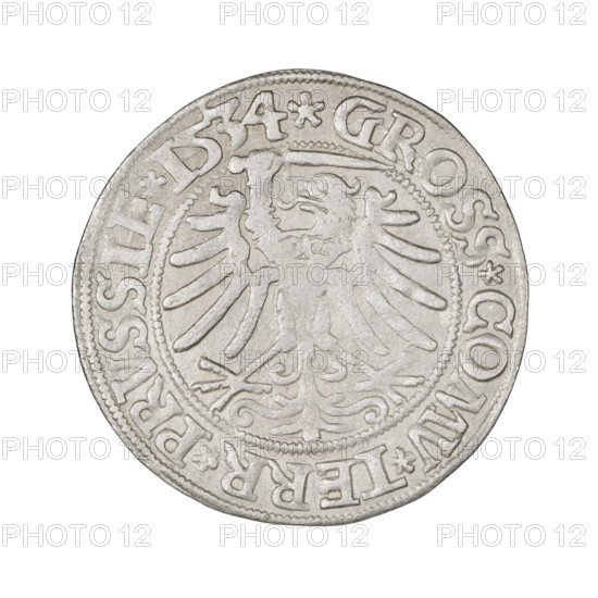 Prussian grosz, Sigismund I the Old (King of Poland; 1506–1548). Obverse: Crowned male bust in profile turned to the right; in the rim between pearly borders an inscription: .SIGIS.I.REX.PO.DO.TOCI.PRVSS Rw. Reverse: The Eagle of Royal Prussia; in the rim between the pearl borders the inscription: .GROSS.COMV.TERR.PRVSSIE.1534. Date: 1534. Place: Torun, Poland. Coin. Diameter 23.7–23.8 mm. Weight 1.89 g. Subjects/emblems: eagles, Jagiellonian dynasty, male/royal bust, emblem (Eagle); iconography of Sigismund I the Old (1467–1548).