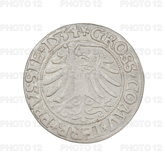 Prussian grosz, Sigismund I the Old (King of Poland; 1506–1548); obverse: crowned male bust in profile turned right, in the rim between pearly borders an inscription: .SIGIS.I.REX.PO.DO.TOCI.PRVSS Rw; reverse: the Eagle of Royal Prussia, in the rim between pearly borders the inscription: .GROSS.COMV.TERR.PRVSSIE.1534; date: 1534; place: Torun, Poland; coin; diameter 23.0 mm; weight 1.85 g.