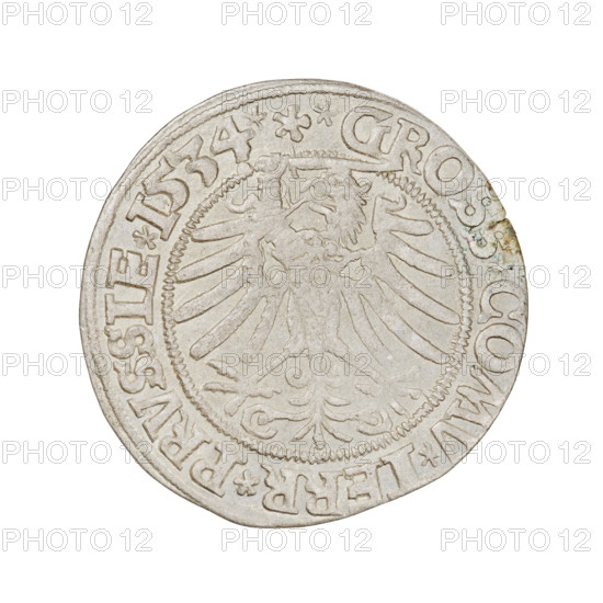 Prussian grosz (1534) depicting Sigismund I the Old (King of Poland, 1506–1548). Obverse: crowned male bust in profile turned right; rim inscription: .SIGIS.I.REX.PO.DO.TOCI.PRVSSIE. Reverse: the Eagle of Royal Prussia; rim inscription: .GROSS.COMV.TERR.PRVSSIE. Coin details: Poland (Torun), diameter ~23.0–23.8 mm, weight 1.92 g. Subjects/themes: eagles, Polish coins, Jagiellonian dynasty, emblems, royal/male bust; iconography of Sigismund I the Old.