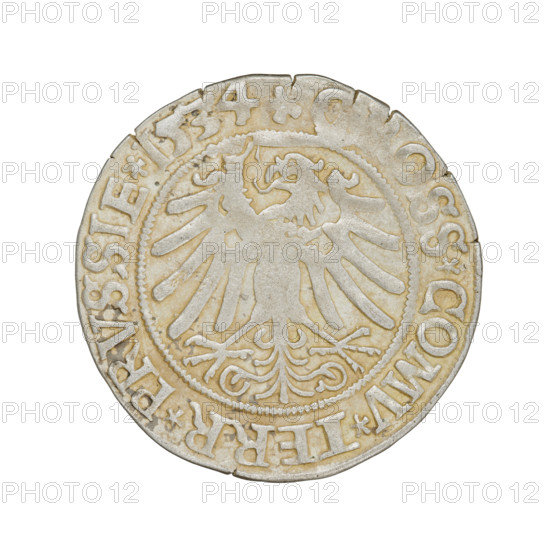 Prussian grosz, Sigismund I the Old (King of Poland; 1506–1548); obverse: crowned male bust in profile turned to the right, rim inscription: .SIGIS.I.REX.PO.DO.; reverse: the Eagle of Royal Prussia, rim inscription: ., OSS.COMV.TERR.PRVSSIE.1534; date: 1534; place: Torun, Poland; subject: eagles, royal bust, male busts, emblems; dynasty: Jagiellonians; iconography: Sigismund I the Old (1467–1548) – iconography; coin; diameter 23.0–23.3 mm; weight 1.97 g