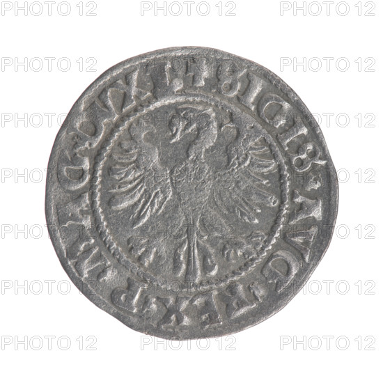 Lithuanian half-grosz, Sigismund II Augustus (King of Poland; 1544–1572). Obverse: Polish Eagle; in the rim between pearly borders the inscription '.SIGIS.AVG.REX.P.MAG.DVXL'. Reverse: Lithuanian Pogon; below the year '1546'; in the rim between pearly borders the inscription '.MONETA.MAGNI.DVCAT9.LITV'. 1546. Grand Duchy of Lithuania (Vilnius). Coin, dia. 19.7–20.0 mm, weight 1.23 g.