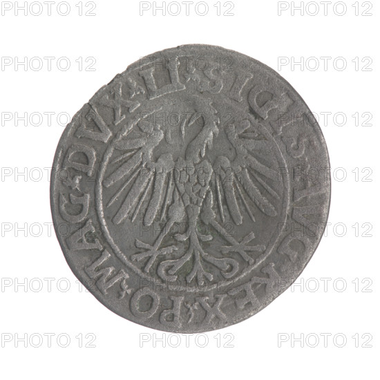 Lithuanian half-grosz, Sigismund II Augustus (King of Poland; 1544–1572); obverse: Polish Eagle with rim inscription '.SIGIS.AVG.REX.PO.MAG.DVX.LI'; reverse: Lithuanian Pogon with the year 1546 and rim inscription '.MONETA.MAGNI.DVCAT9.LITV'; 1546; Grand Duchy of Lithuania, Vilnius; coin (half-grosz), diameter ~18.5–19.7 mm, weight 1.11 g; coats of arms: Jagiellons, eagles, Pogon.