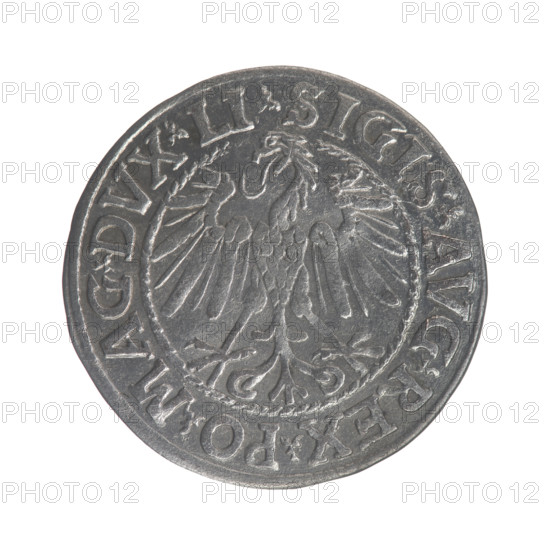 Lithuanian half-grosz, Sigismund II Augustus (King of Poland; 1544–1572). Obverse: Polish Eagle; in the rim between pearly borders the inscription '.SIGIS.AVG.REX.PO.MAG.DVX.LI'. Reverse: Lithuanian Pogon; below the year '1546', in the rim between pearly borders the inscription '.MONETA.MAGNI.DVCAT9.LITV'. 1546. Grand Duchy of Lithuania, Vilnius. Coin (half-grosz). Diameter 19.6–20.0 mm; weight 1.14 g.