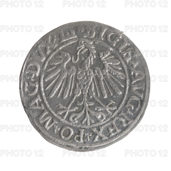Lithuanian half-grosz, Sigismund II Augustus (King of Poland; 1544–1572). Obverse: Polish Eagle; in the rim between pearly borders the inscription 'SIGIS.AVG.REX.PO.MAG.DVX.LI'. Reverse: Lithuanian Pogon (coat of arms), below the year 1547; in the rim between pearly borders the inscription 'MONETA.MAGNI.DVCAT9.LITVA'. 1547. Jagiellon dynasty; Grand Duchy of Lithuania, Vilnius. Coin, dia. ~19.6–20.0 mm, weight 1.1 g.