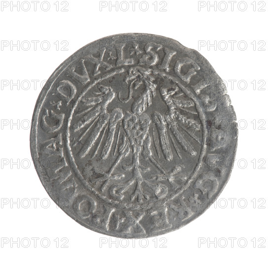 Lithuanian half-grosz, Sigismund II Augustus (King of Poland; 1544–1572). Obverse: Polish eagle; in the rim between pearly borders the inscription 'SIGI.AVG.REX.PO.MAG.DVX.L'. Reverse: Lithuanian Pogon (horseman), below the year 1547; in the rim between pearly borders the inscription 'META.MAGNI.DVCAT9.LITVA'. Dated 1547. Grand Duchy of Lithuania. Coin (Polish–Lithuanian), diameter about 19.7–20.0 mm, weight 1.25 g.