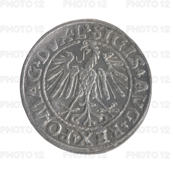 Lithuanian half-grosz, Sigismund II Augustus (King of Poland; 1544–1572). Obverse: Polish Eagle; in the rim between pearly borders the inscription: .SIGIS.AVG.REX.PO.MAG.DVX.L. Reverse: Lithuanian Pogon; below the year 1547; in the rim between pearly borders the inscription: .MONETA.MAGNI.DVCAT9.LITVA. 1547. Jagiellon dynasty; Grand Duchy of Lithuania; Poland; Vilnius. Coin, dia. 19.7–20.0 mm, weight 1.2 g.