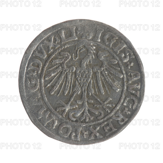 Lithuanian half-grosz, Sigismund II Augustus (King of Poland; 1544–1572). Obverse: Polish eagle; in rim between pearly borders inscription 'SIGIS.AVG.REX.PO.MAG.DVX.LI' (rendered here as given). Reverse: Lithuanian Pogon (mounted knight), below the year 1547; in rim between pearly borders inscription 'MONETA.MAGNI.DVCAT9.LITVA'. Dated 1547. Grand Duchy of Lithuania / Poland. Coin; diameter ~20.0–20.2 mm; weight 1.28 g.