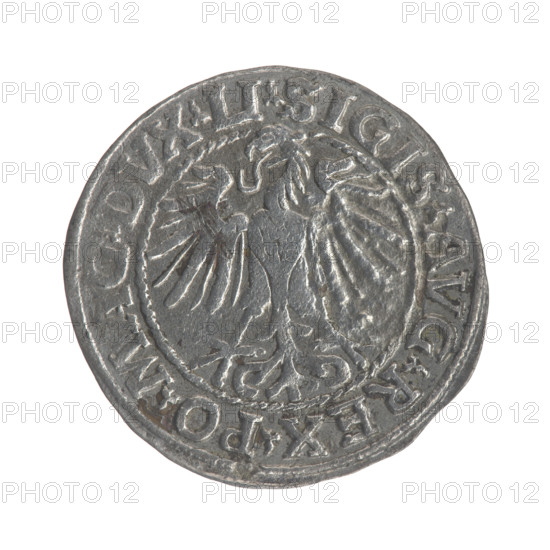 Lithuanian half-grosz, Sigismund II Augustus (King of Poland; 1544–1572). Obverse: Polish Eagle; in the rim between pearly borders the inscription '.SIGIS.AVG.REX.PO.MAG.DVX.LI'. Reverse: Lithuanian Pogon; below the year '1548', in the rim between pearly borders the inscription '.MONETA.MAGNI.DVCAT9.LITVA'. 1548. Grand Duchy of Lithuania, Poland. Coin (half-grosz), diam. 19.4–20.2 mm, weight 1.1 g.