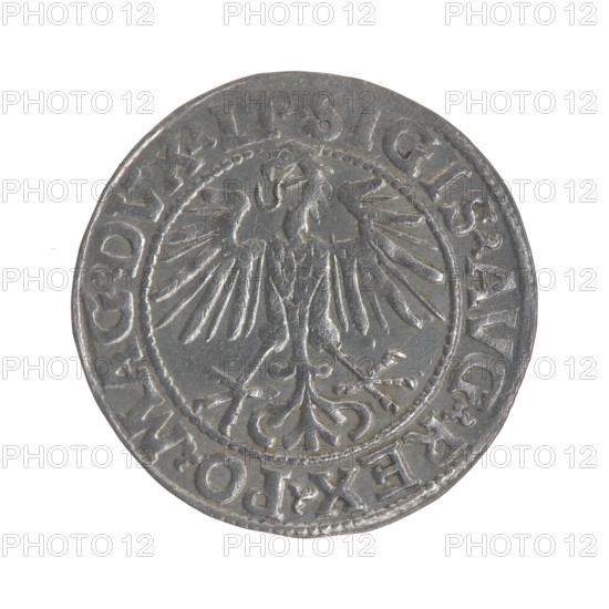 Lithuanian half-grosz, Sigismund II Augustus (King of Poland; 1544–1572). Obverse: Polish eagle; in the rim between pearly borders the inscription '.SIGIS.AVG.REX.PO.MAG.DVX.LI'. Reverse: Lithuanian Pogon (coat of arms), below the year '1548'; in the rim between pearly borders the inscription '.MONETA.MAGNI.DVCAT9.LITVA'. 1548. Grand Duchy of Lithuania (Vilnius). Coin; diameter 19.5–20.0 mm; weight 1.18 g.