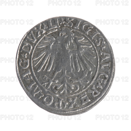 Lithuanian half-grosz, Sigismund II Augustus (King of Poland; 1544–1572). Obverse: Polish Eagle; in the rim between pearly borders the inscription 'SIGIS.AVG.REX.PO.MAG.DVX.LI'. Reverse: Lithuanian Pogon, below the year 1548; in the rim between pearly borders the inscription 'MONETA.MAGNI.DVCAT9.LITVA'. 1548. Grand Duchy of Lithuania / Poland; struck in Vilnius. Coin; diameter 19.3–20.0 mm; weight 1.1 g. Coats of arms: Jagiellons, eagles; materials/metal: (coin).