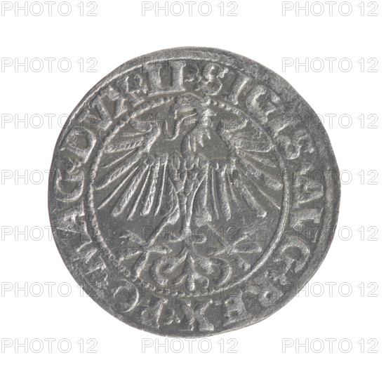 Lithuanian half-grosz, Sigismund II Augustus (King of Poland; 1544–1572). Obverse: Polish Eagle; in the rim between pearly borders the inscription '.SIGIS.AVG.REX.PO.MAG.DVX.LI'. Reverse: Lithuanian Pogon, below the year '1549'; in the rim between pearly borders the inscription '.MONETA.MAGNI.DVCAT9.LITVA'. 1549. Silver coin, Grand Duchy of Lithuania / Poland, struck in Vilnius. Diameter ~19.5–19.7 mm; weight 1.19 g.