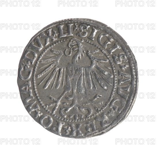 Lithuanian half-grosz, Sigismund II Augustus (King of Poland; 1544–1572). Obverse: Polish Eagle; in the rim between pearly borders the inscription 'SIGIS.AVG.REX.PO.MAG.DVX.LI'. Reverse: Lithuanian Pogon, below the year 1549; in the rim between pearly borders the inscription 'MONETA.MAGNI.DVCAT9.LITVA'. 1549. Jagiellon dynasty; Grand Duchy of Lithuania, Poland; Vilnius. Coin; diameter 19.6–20.0 mm; weight 1.17 g.