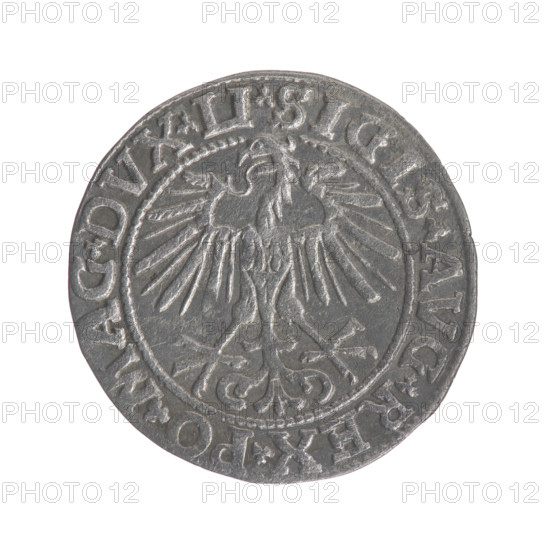 Lithuanian half-grosz, Sigismund II Augustus (King of Poland, 1544–1572). Obverse: Polish Eagle; in the rim between pearly borders the inscription '.SIGIS.AVG.REX.PO.MAG.DVX.LI'. Reverse: Lithuanian Pogon; below the year '1550', in the rim between pearly borders the inscription '.MONETA.MAGNI.DVCAT9.LITVA'. 1550. Jagiellon dynasty; Grand Duchy of Lithuania; Poland; Vilnius. Coin, diameter 19.2–19.6 mm, weight 1 g.