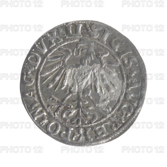 Lithuanian half-grosz, Sigismund II Augustus (King of Poland; 1544–1572). Obverse: Polish eagle; in the rim between pearly borders the inscription '.SIGIS.AVG.REX.PO.MAG.DVX.LI'. Reverse: Lithuanian Pogon, below the year '1550'; in the rim between pearly borders the inscription '.MONETA.MAGNI.DVCAT9.LITVA'. 1550. Coats of arms: Jagiellons (dynasty), eagle, Pogon. Grand Duchy of Lithuania, Poland; struck in Vilnius. Coin (half-grosz), diameter 19.3–19.7 mm, weight 1.09 g.