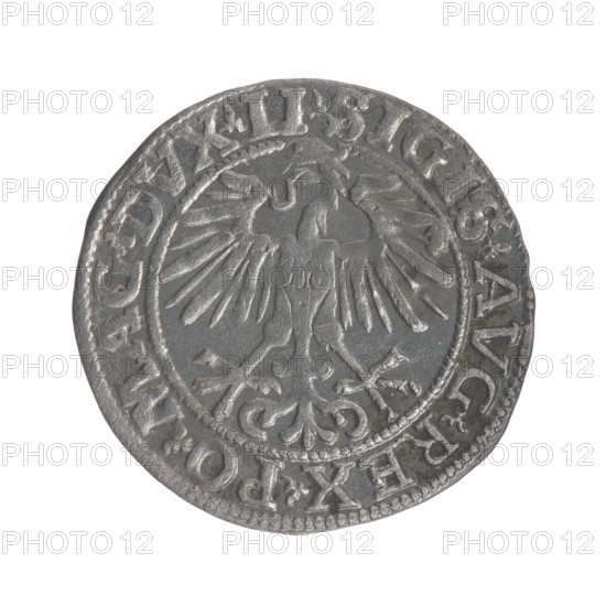Lithuanian half-grosz, Sigismund II Augustus (King of Poland; 1544–1572). Obverse: Polish eagle; in the rim between pearly borders the inscription '.SIGIS.AVG.REX.PO.MAG.DVX.LI'. Reverse: Lithuanian Pogon; below the year 1551, in the rim between pearly borders the inscription '.MONETA.MAGNI.DVCAT9.LITVA'. 1551. Jagiellon dynasty; Grand Duchy of Lithuania, Poland; coin. Diameter 19.5–20.0 mm; weight 1.08 g.