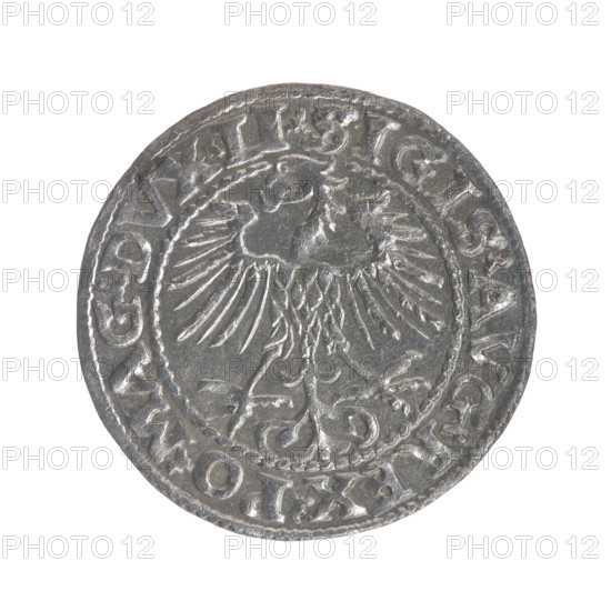 Lithuanian half-grosz, Sigismund II Augustus (King of Poland; 1544–1572). Obverse: Polish Eagle; in the rim between pearly borders the inscription: .SIGIS.AVG.REX.PO.MAG.DVX.LI. Reverse: Lithuanian Pogon; below the year 1552; in the rim between pearly borders the inscription: .MONETA.MAGNI.DVCAT9.LITVA. 1552. Materials/medium: coin. Place/date: Grand Duchy of Lithuania, Vilnius; Poland–Lithuania, 1552. Subjects/icons: coats of arms, Jagiellon dynasty, eagles, Pogon (coat of arms).
