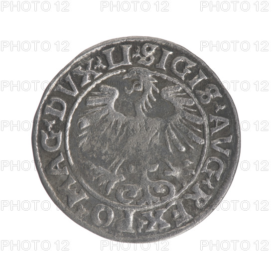 Lithuanian half-grosz, Sigismund II Augustus (King of Poland; 1544–1572). Obverse: Polish eagle; in the rim between pearly borders the inscription '.SIGIS.AVG.REX.PO.MAG.DVX.LI'. Reverse: Lithuanian Pogon; below the year '1553'; in the rim between pearly borders the inscription '.MONETA.MAGNI.DVCAT9.LITVA'. 1553. Grand Duchy of Lithuania, Poland, Vilnius. Coin; diameter 19.6–19.8 mm; weight 1.12 g.