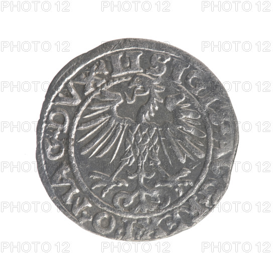 Lithuanian half-grosz, Sigismund II Augustus (King of Poland; 1544–1572). Obverse: Polish Eagle; in the rim between pearly borders the inscription '.SIGIS.AVG.REX.PO.MAG.DVX.LI'. Reverse: Lithuanian Pogon, below the year '1553'; in the rim between pearly borders the inscription '.MONE.MAGNI.DVCAT9.LITVA'. Coats of arms of the Jagiellons; motifs: eagles and Pogon. Grand Duchy of Lithuania, Poland; struck in Vilnius. Coin dia. 18.7–19.0 mm, weight 1.05 g.