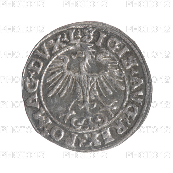 Lithuanian half-grosz, Sigismund II Augustus (King of Poland; 1544–1572). Obverse: Polish eagle; in the rim between pearly borders the inscription '.SIGIS.AVG.REX.PO.MAG.DVX.L' Reverse: Lithuanian Pogon; below the year '1553'; in the rim between pearly borders the inscription '.MONETA.MAGNI.DVCAT9.LITVA'. Date: 1553. Material: coin; diameter approx. 19.5–20.0 mm; weight 1.1 g. Subjects/styles: coats of arms, Jagiellon dynasty, Polish coins, eagles, Pogon (coat of arms). Region: Grand Duchy of Lithuania / Poland, Vilnius.
