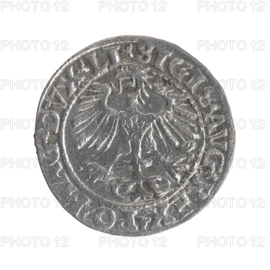 Lithuanian half-grosz, Sigismund II Augustus (King of Poland; 1544–1572); coats of arms; Jagiellons (dynasty); Polish coins; eagles; Eagle (coat of arms); Pogon (coat of arms; Lithuania). Obv.: Polish Eagle, in the rim between pearly borders the inscription: .SIGIS.AVG.REX.PO, G.DVX.LI. Rev.: Lithuanian Pogon, below the year 1554, in the rim between pearly borders the inscription: .MONETA.MAGNI.DVCAT9.LITVA. 1554. Grand Duchy of Lithuania, Poland, Vilnius. Coin. Diameter 19.2–19.4 mm. Weight 1.12 g.