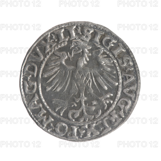 Lithuanian half-grosz, Sigismund II Augustus (King of Poland; 1544–1572). Obverse: Polish eagle; in the rim between pearly borders the inscription '.SIGIS.AVG.REX.PO.MAG.DVX.LI'. Reverse: Lithuanian Pogon; below the year '1554', in the rim between pearly borders the inscription '.MONETA.MAGNI.DVCAT9.LITVA'. Dated 1554. Grand Duchy of Lithuania, Poland, Vilnius. Coin; diameter 19.2–19.4 mm; weight 1.2 g.