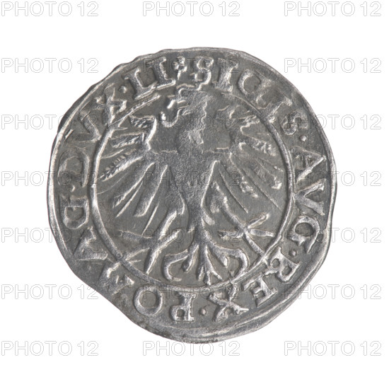 Lithuanian half-grosz, Sigismund II Augustus (King of Poland; 1544–1572). Obverse: Polish Eagle; in the rim between pearly borders the inscription '.SIGIS.AVG.REX.PO.MAG.DVX.LI'. Reverse: Lithuanian Pogon; below the year '1557'; in the rim between pearly borders the inscription '.MO, ETA.MAG, I.DVCAT9.LITVA'. Coats of arms of the Jagiellons, eagles, Pogon (coat of arms). Grand Duchy of Lithuania, Vilnius, Poland. Coin; diameter 19.3–19.6 mm; weight 1.12 g.