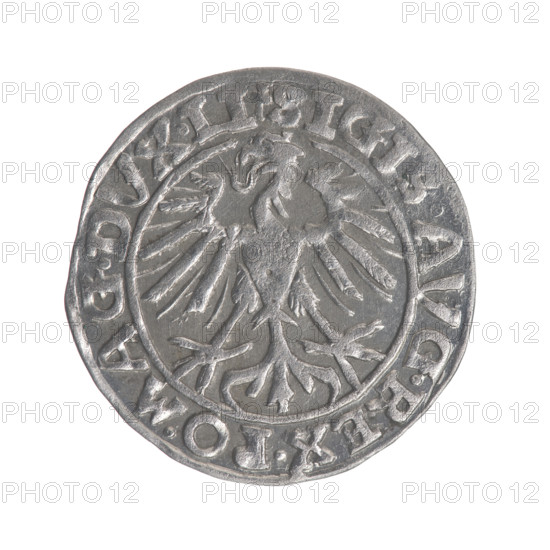 Lithuanian half-grosz, Sigismund II Augustus (King of Poland; 1544–1572). Obverse: Polish Eagle; in the rim between pearly borders the inscription '.SIGIS.AVG.REX.PO.MAG.DVX LI'. Reverse: Lithuanian Pogon; below the year '1557'; in the rim between pearly borders the inscription '.MO, ETA.MAG, I.DVCAT9.LITVA'. Grand Duchy of Lithuania, Vilnius. Coin, 1557; diameter ~19.4–19.6 mm; weight ~1.2 g.