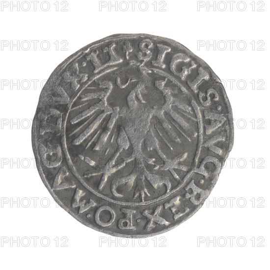 Lithuanian half-grosz, Sigismund II Augustus (King of Poland; 1544–1572). Obverse: Polish Eagle; rim between pearly borders inscription '.SIGIS.AVG.REX.PO.MA, .DVX.LI'. Reverse: Lithuanian Pogon; below the year '1557'; rim between pearly borders inscription '.MO, ETA.MAG, I.DVCAT9.LITVA, 1557'. Coats of arms: Jagiellons (dynasty), eagles, Pogon (coat of arms). Grand Duchy of Lithuania; Vilnius. Coin; diameter c. 19.0–19.6 mm; weight 0.85 g.