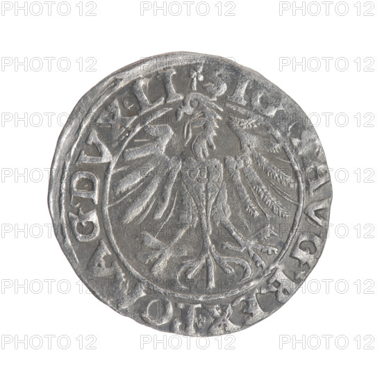 Lithuanian half-grosz, Sigismund II Augustus (King of Poland; 1544–1572). Obverse: Polish Eagle; in the rim between pearly borders the inscription '.AVG.REX.PO., AG.DVX.LI'. Reverse: Lithuanian Pogon, below the year 1557; in the rim between pearly borders the inscription '.MONETA.M, NI.DVCAT9.LI'. Coats of arms of the Jagiellons (dynasty); motifs: eagles and Pogon. Grand Duchy of Lithuania, Vilnius, 1557. Coin (Polish), diameter 18.8–19.1 mm, weight 1.12 g.