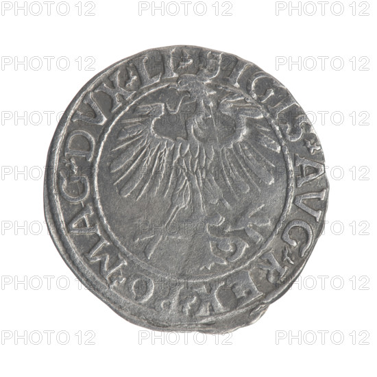 Lithuanian half-grosz, Sigismund II Augustus (King of Poland; 1544–1572); obverse: Polish Eagle with inscription in rim between pearly borders '.SIGIS.AVG.REX.PO.MAG.DVX.LI'; reverse: Lithuanian Pogon with year '1557' below and inscription in rim between pearly borders '.MONETA.MAGNI.DVCAT9.LITV'; 1557; Grand Duchy of Lithuania; coin; diameter 19.8–20.2 mm; weight 1.12 g; features coats of arms (Jagiellons), eagles, Pogon.