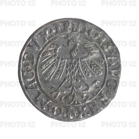 Lithuanian half-grosz, Sigismund II Augustus (King of Poland; 1544–1572). Obverse: Polish Eagle; in the rim between pearly borders the inscription .SIGIS.AVG.REX.PO.MAG.DVX.LI. Reverse: Lithuanian Pogon, below the year 1558; in the rim between pearly borders the inscription .MONETA.MAGNI.DVCAT9.LITVA. 1558. Grand Duchy of Lithuania. Coin; diameter 19.0–19.5 mm; weight 1.12 g.