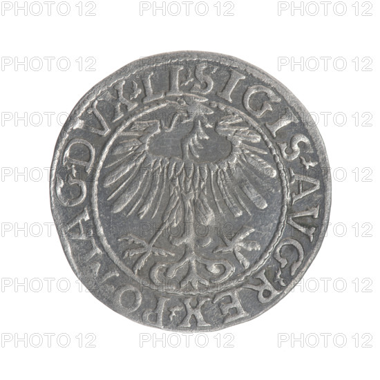 Lithuanian half-grosz, Sigismund II Augustus (King of Poland; 1544–1572). Obverse: Polish Eagle; in the rim between pearly borders the inscription '.SIGIS.AVG.REX.PO.MAG.DVX.LI'. Reverse: Lithuanian Pogon; below the year '1557'; in the rim between pearly borders the inscription '.MONETA.M, NI.DVCAT9.LITV'. Coats of arms of the Jagiellons (dynasty); motifs: eagles and Pogon. Grand Duchy of Lithuania, Vilnius; coin dated 1557. Diameter ~19.1–19.2 mm; weight 1.17 g.
