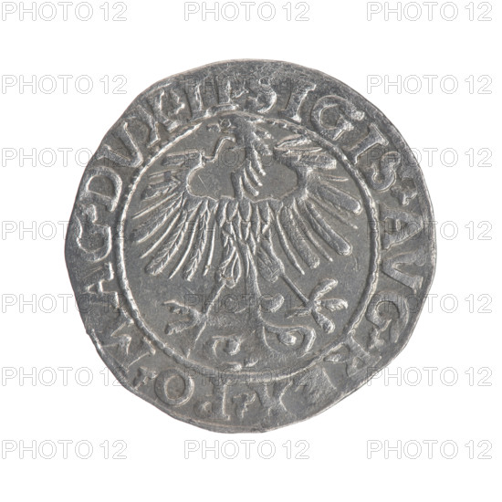 Lithuanian half-grosz, Sigismund II Augustus (King of Poland; 1544–1572). Obverse: Polish Eagle; in the rim between pearly borders the inscription: .SIGIS.AVG.REX.PO.MAG.DVX.LI. Reverse: Lithuanian Pogon; below the year 1557; in the rim between pearly borders the inscription: .MONETA.MGNI.DVCAT9.LITVA. Dated 1557. Grand Duchy of Lithuania (Vilnius). Coin; diameter 19.0–19.6 mm; weight 1.2 g. Coats of arms: Jagiellons; eagles; Pogon.