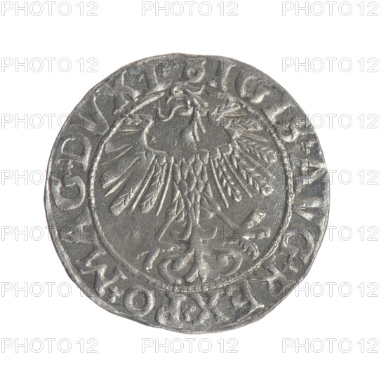 Lithuanian half-grosz, Sigismund II Augustus (King of Poland; 1544–1572). Obverse: Polish Eagle; in the rim between pearly borders the inscription '.SIGIS.AVG.REX.PO.MAG.DVX.L'. Reverse: Lithuanian Pogon; below the year '1558'; in the rim between pearly borders the inscription '.MONETA.MAGNI.DVCAT9.LITVA'. 1558. Grand Duchy of Lithuania, Vilnius. Coin, silver, diameter 18.7–19.0 mm, weight 1.14 g.