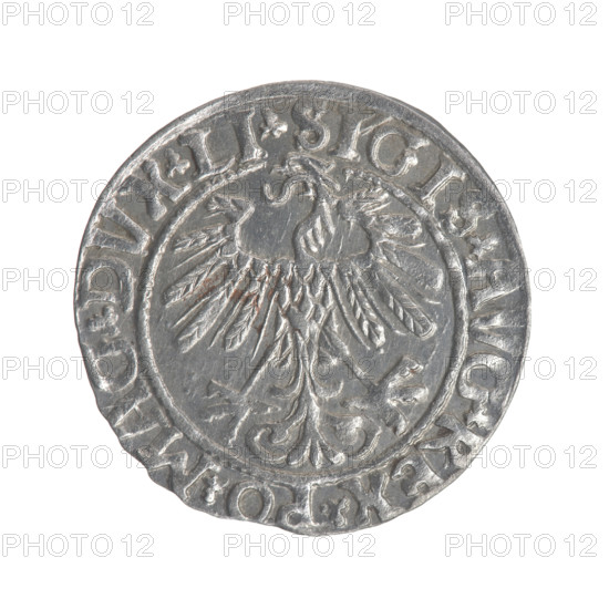 Lithuanian half-grosz, Sigismund II Augustus (King of Poland; 1544–1572). Obverse: Polish Eagle; in the rim between pearly borders the inscription '.SIGIS.AVG.REX.PO.MAG.DVX.LI'. Reverse: Lithuanian Pogon; below the year '1558'; in the rim between pearly borders the inscription '.MONETA.MAGNI.DVC.A'. 1558. Grand Duchy of Lithuania (Vilnius). Coin (Polish-Lithuanian), diameter ~19.1–19.5 mm, weight 1.18 g.