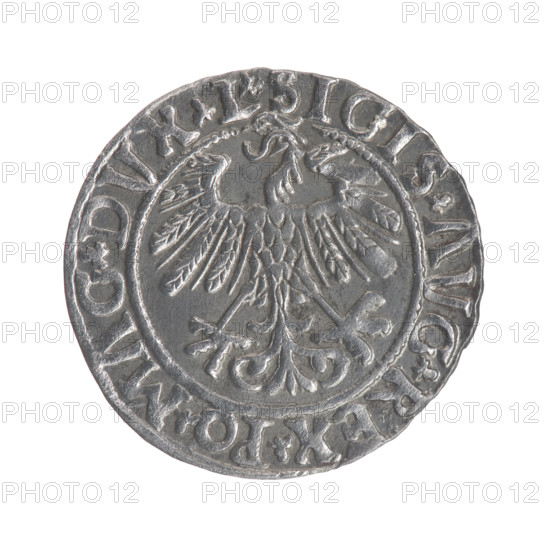 Lithuanian half-grosz, Sigismund II Augustus (King of Poland; 1544–1572). Obverse: Polish Eagle; in the rim between pearly borders the inscription '.SIGIS.AVG.REX.PO.MAG.DVX.L'. Reverse: Lithuanian Pogon with the year 1558 below; in the rim between pearly borders the inscription '.MONETA.MAGNI.DVCAT9.LITVA'. 1558. Grand Duchy of Lithuania. Coin. Diameter 19.4–19.7 mm. Weight 1.38 g.