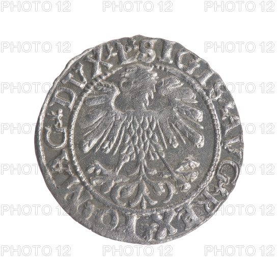 Lithuanian half-grosz of Sigismund II Augustus (King of Poland, 1544–1572). Obverse: Polish eagle; rim between pearly borders with inscription '.SIGIS.AVG.REX.PO.MAG.DVX.L'. Reverse: Lithuanian Pogon (coat of arms), below the year '1559'; rim between pearly borders with inscription '.MONETA.MAGNI.DVCAT9.LITVA'. Dated 1559. Grand Duchy of Lithuania (Vilnius). Coin (Polish–Lithuanian), diameter ~19.0–19.5 mm, weight 1.17 g.